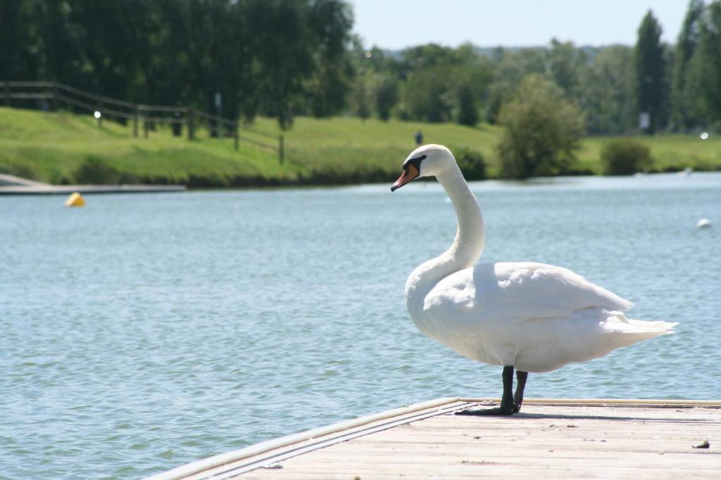 Ibis Budget Мант-ла-Жоли Экстерьер фото